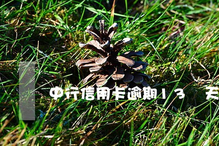 中行信用卡逾期13 天 中行信用卡逾期13 天